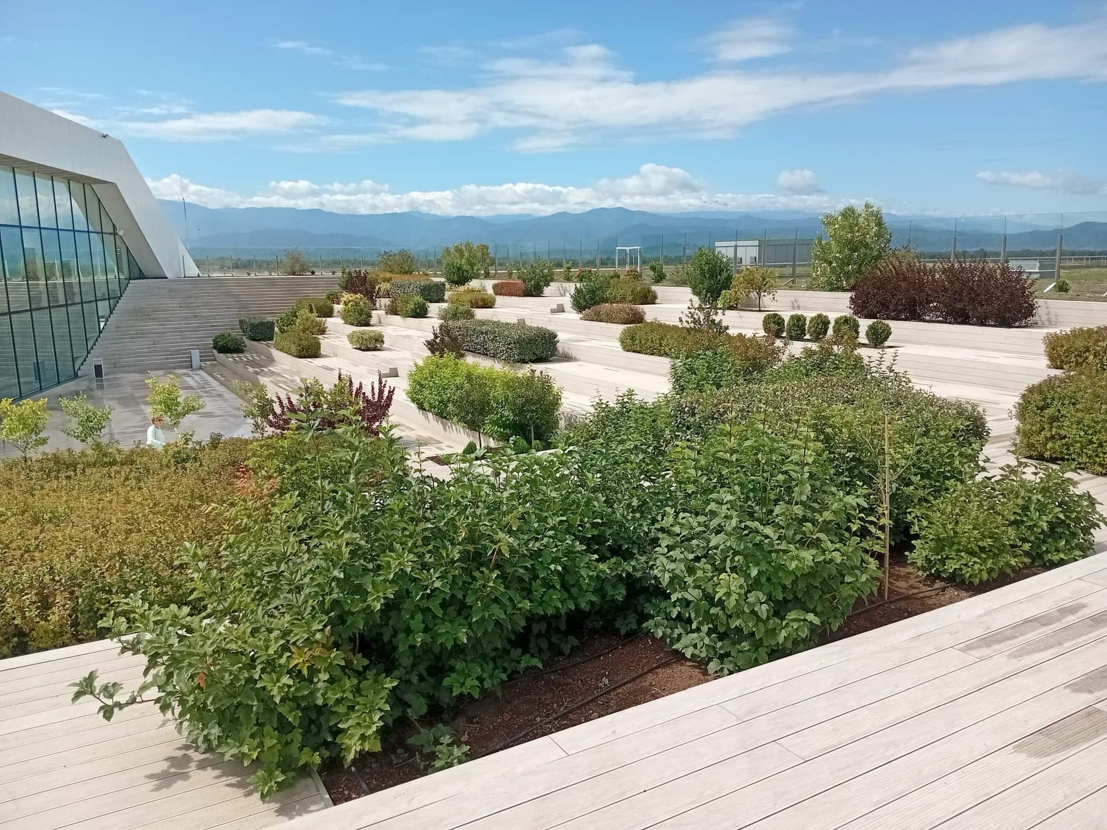 The planted roof terrace at Kutaisi International Airport, timber decking and shrub beds running out towards the Caucasus foothills